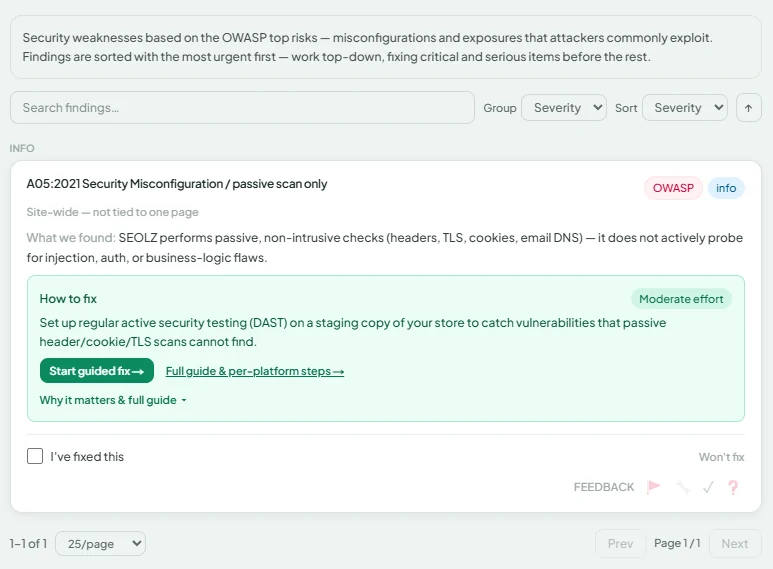 SEOLZ OWASP — Security findings shown in the dashboard